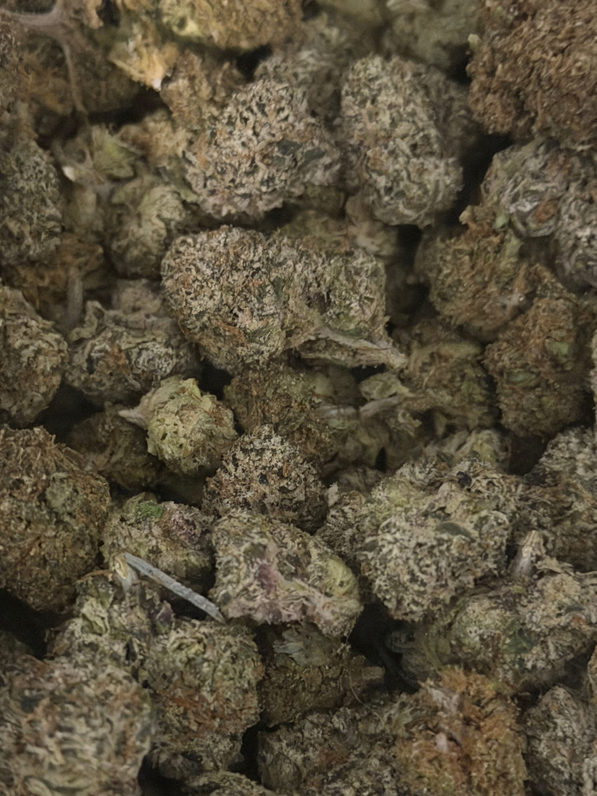 Bubba Kush - Image 3
